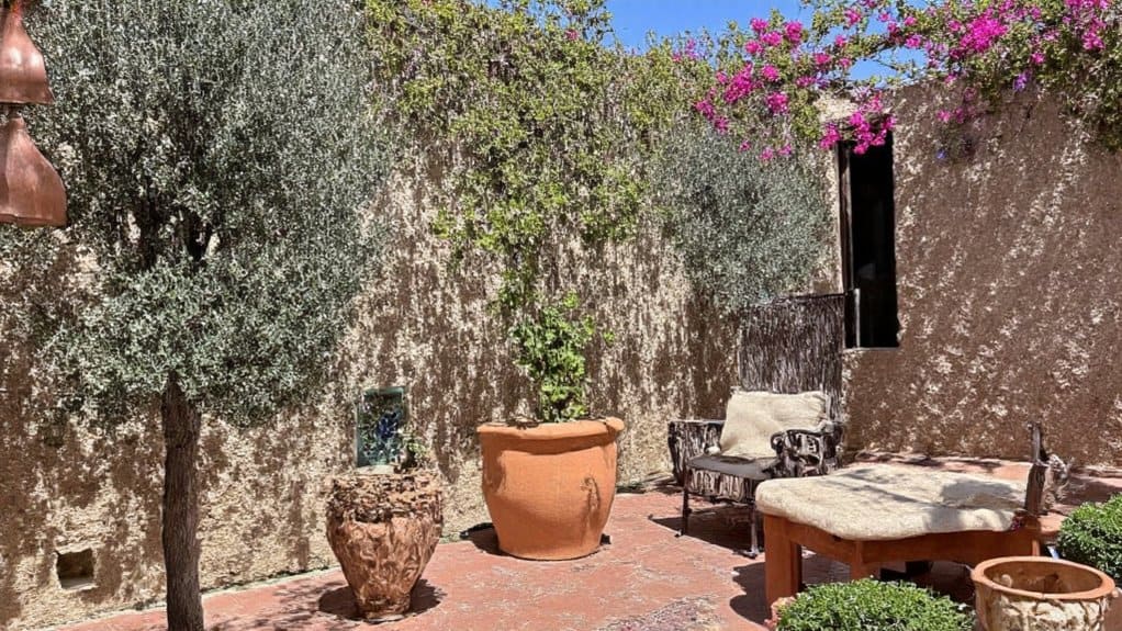 sun drenched mediterranean courtyard