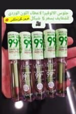 ⁦جلوس التوريد الالوفيرا⁩ - الصورة ⁦2⁩