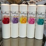 بودرة الجسم المعطره 250 مل انشانتر الاصلي 15 ش