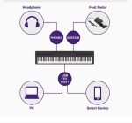 ⁦بيانو ياماها p45 ديجيتال بيانو⁩ - الصورة ⁦3⁩