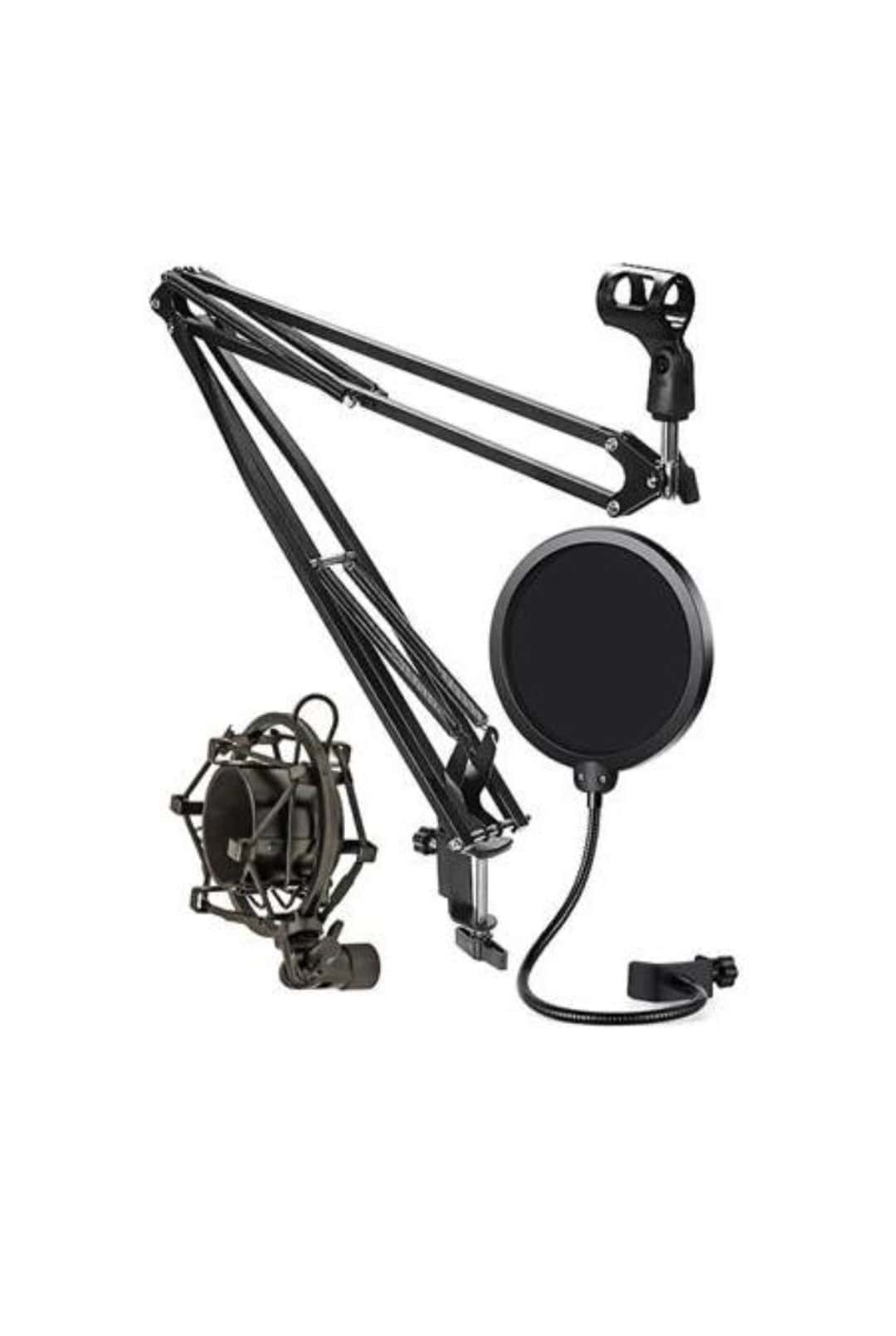 Oplus_131072 Arm Stand , pop filter and shock mount - الصورة 1