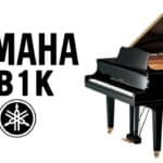 بيانو ياماها GB1K PE جراند مع مقعد