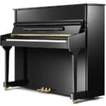 Pearl River EU118-A111 Ebony Polish