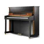 Pearl River PE121-A2Z2 Ebony Polish with Camphor Burls