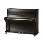 Pearl River UP115M5-A111 Ebony Polish