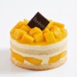 مينى كيك مانجو