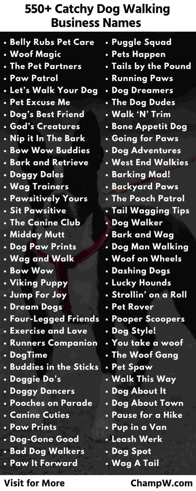 550 Catchy Names For Dog Walking Business