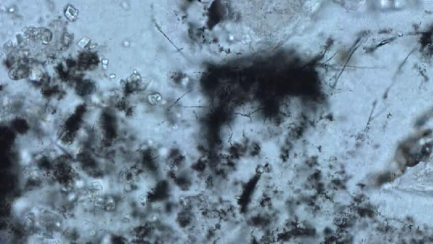 A blue background with black splodges