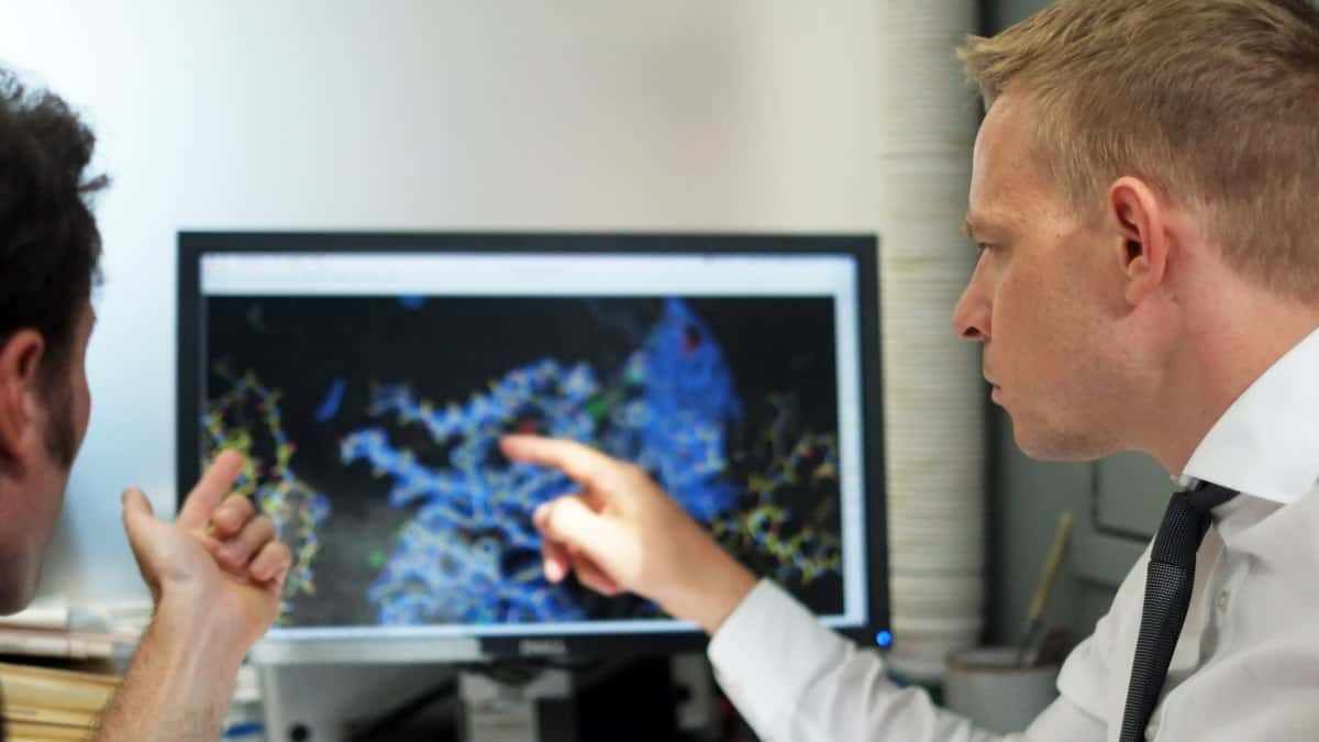 Man in labcoat looks at structure of antibody that can trigger meat allergy