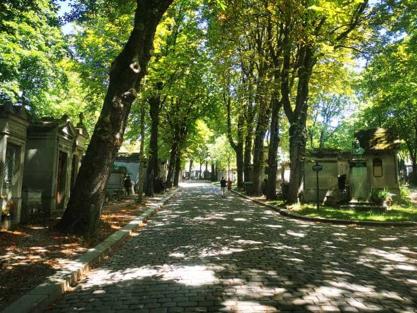 Cobbled street lines with trees