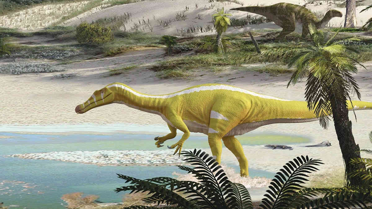 New spinosaurid dinosaur in Spain sheds light on evolution