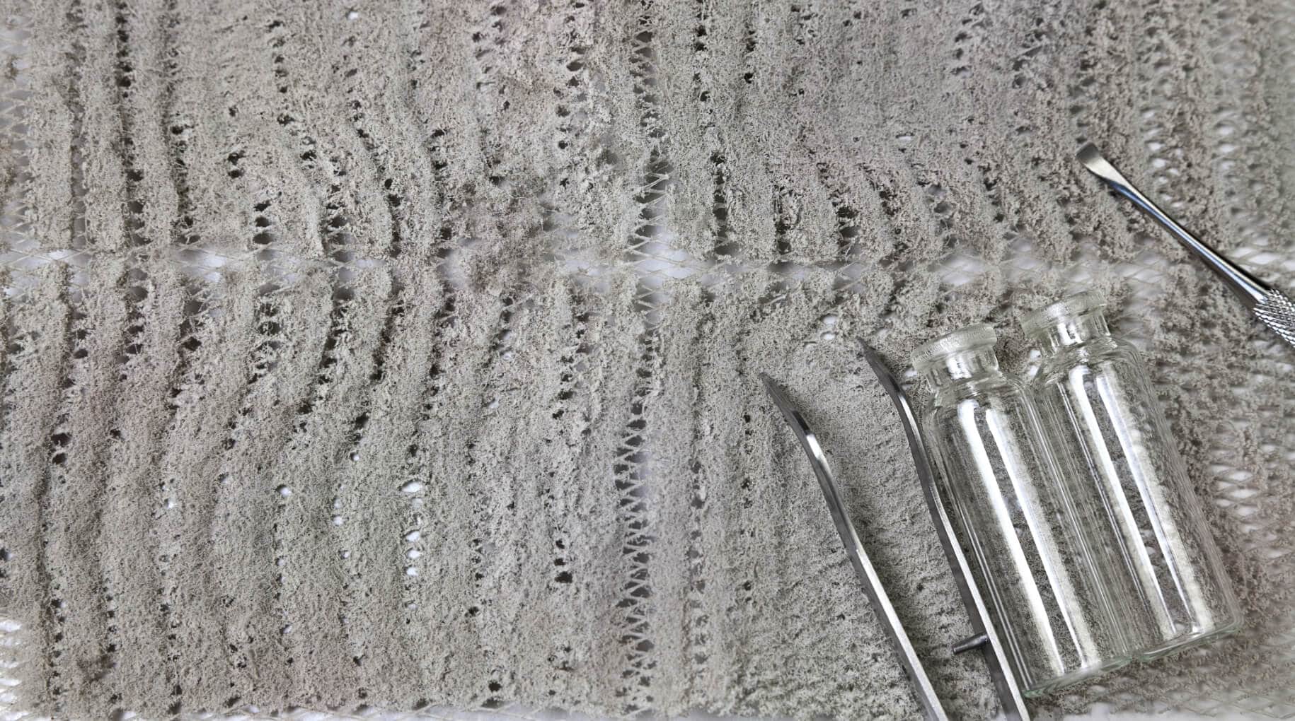 CSUSASW | dust collected on a vent