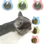 كات نب شكل عقرب P544