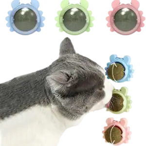 كات نب شكل عقرب P544