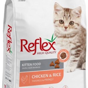 61HeQqikyaL. AC SL1500