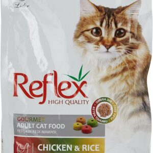 71vbodXriAL. AC SL1500