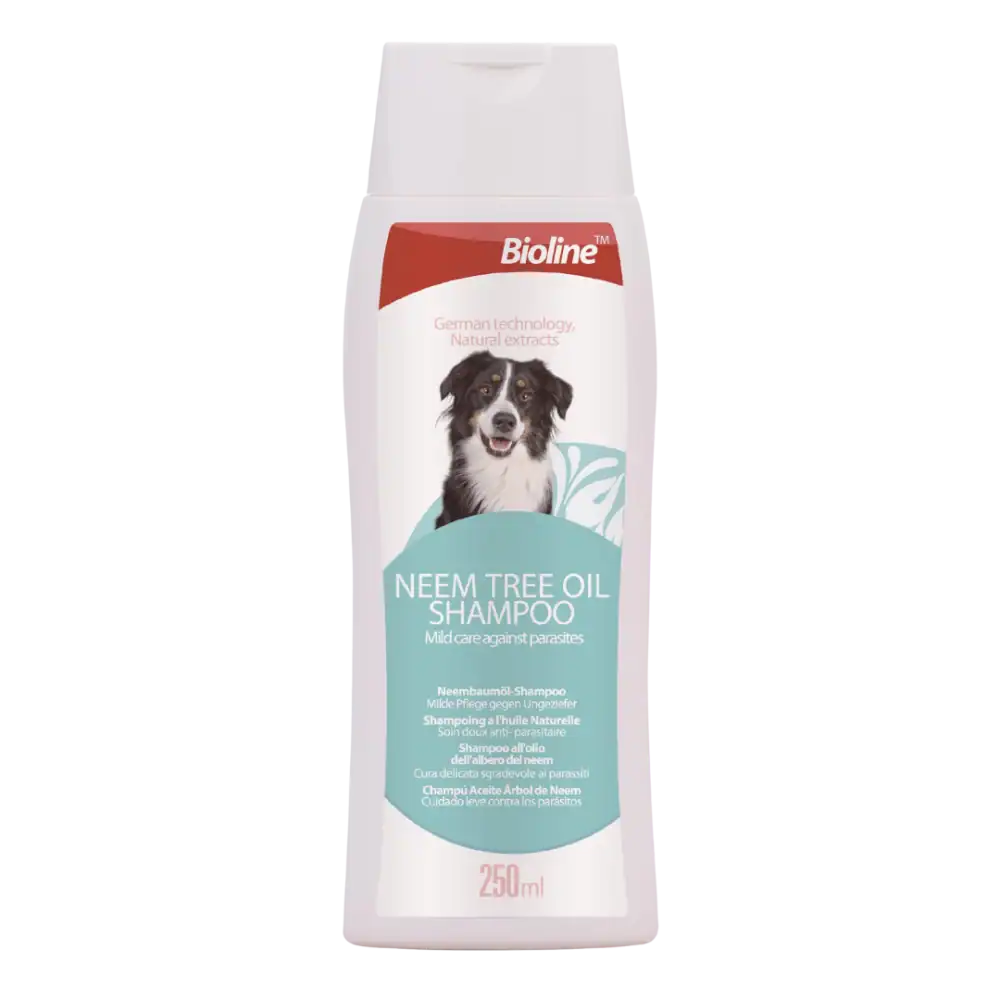 Xj6N047FNgWe2DmW770mcWcbvqH7TEGIHqainum3