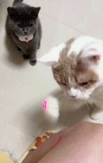 635fd27709be03023a8aae5a7c2d7e24419e1ec6c5407e3f57489d14055123fc