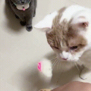 635fd27709be03023a8aae5a7c2d7e24419e1ec6c5407e3f57489d14055123fc