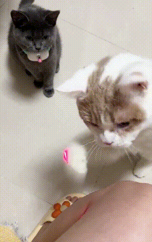 635fd27709be03023a8aae5a7c2d7e24419e1ec6c5407e3f57489d14055123fc 635fd27709be03023a8aae5a7c2d7e24419e1ec6c5407e3f57489d14055123fc