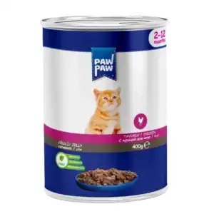 WhatsApp Image 2025 04 12 at 01.55.02 scaled