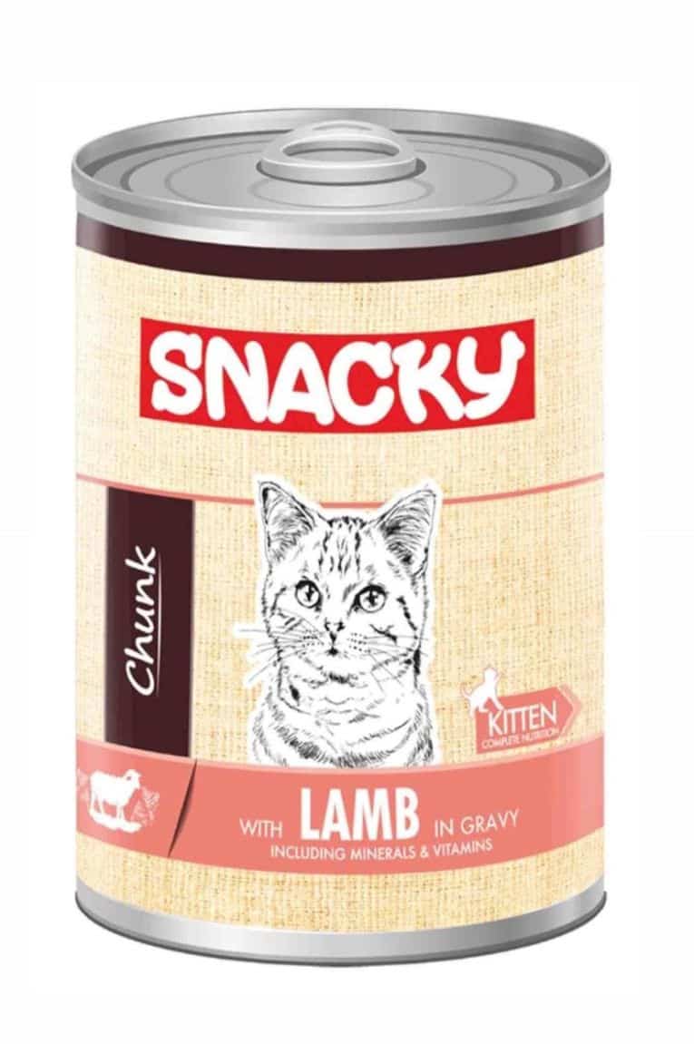 غغغغغغ غغغغغغ