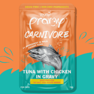 03 14 2026 0515pm678ddd0beb1f275a4122