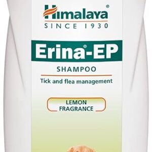 51UYPTXkUhL. AC UF1000,1000 QL80