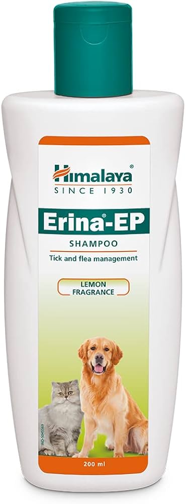 51UYPTXkUhL. AC UF1000,1000 QL80