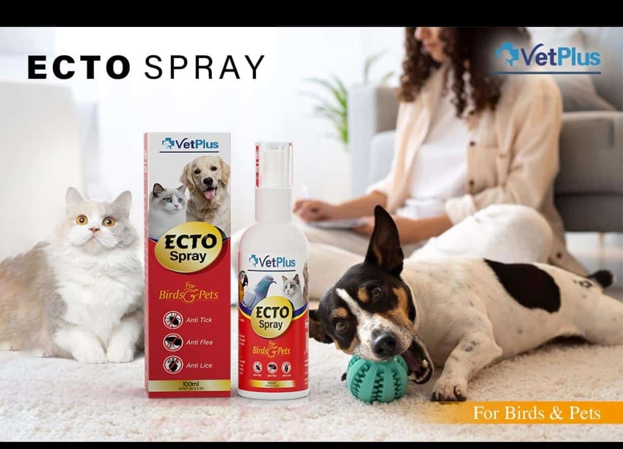 IMG-20260407-WA0019 IMG 20260407 WA0019