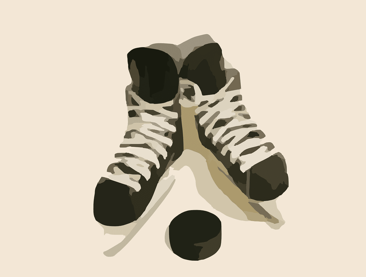 a vector image of a pair of laced up ice skates