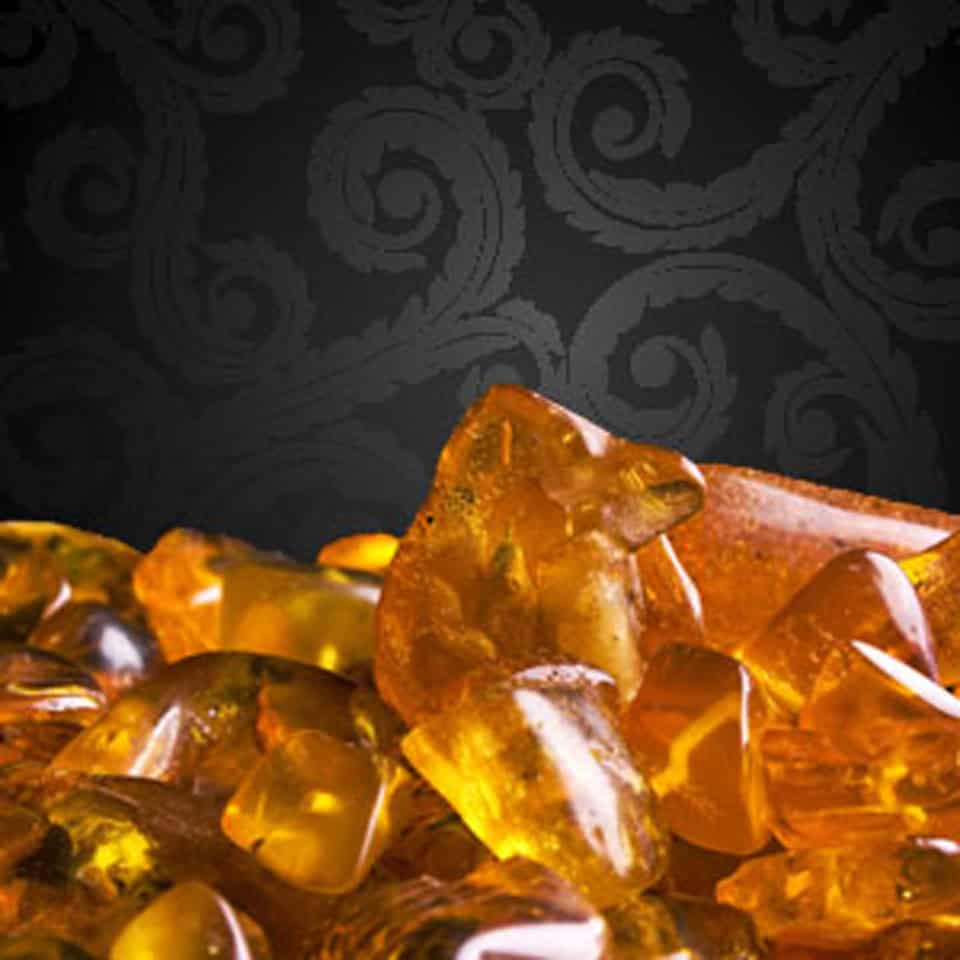 ⁦Sensual Amber⁩ - الصورة ⁦1⁩