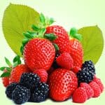 فراولة توت
