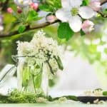 ايلدر بلوسوم