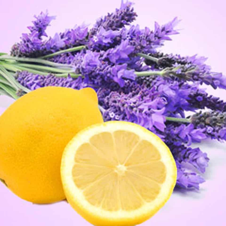 Lemon-Lavender-Type-Fragrance-Oil__92594 ليمون لافندر - الصورة 1