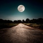 Moonlight Path