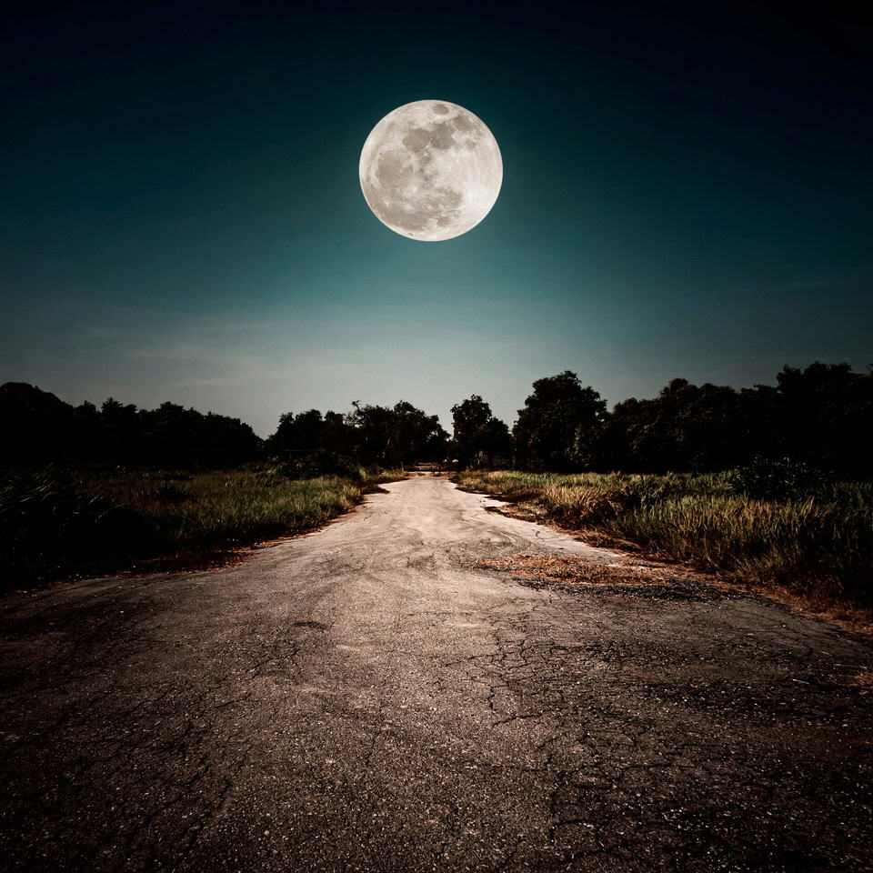 ⁦Moonlight Path⁩ - الصورة ⁦1⁩