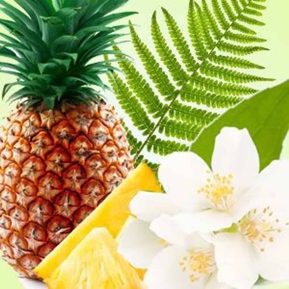 ⁦اناناس ياسمين⁩ - الصورة ⁦1⁩