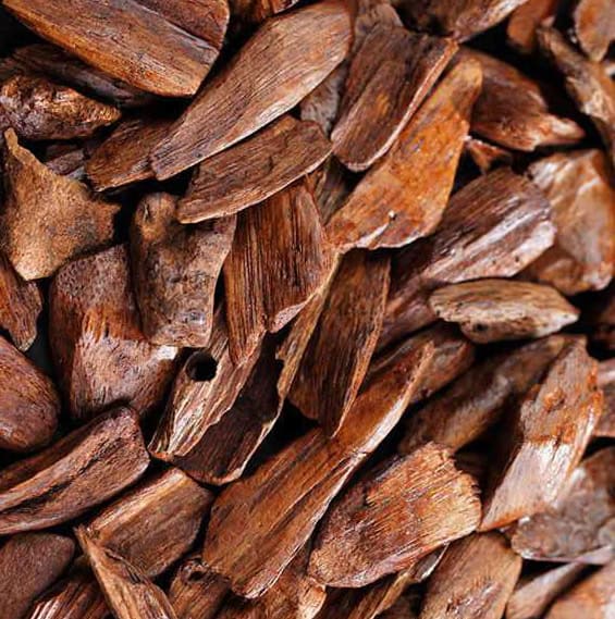 oud-agarwood-1 عود صندل - الصورة 1