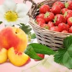 فراولة خوخ