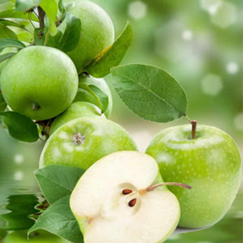 ⁦تفاح اخضر⁩ - الصورة ⁦1⁩