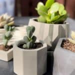 كوب سداسي قطعة