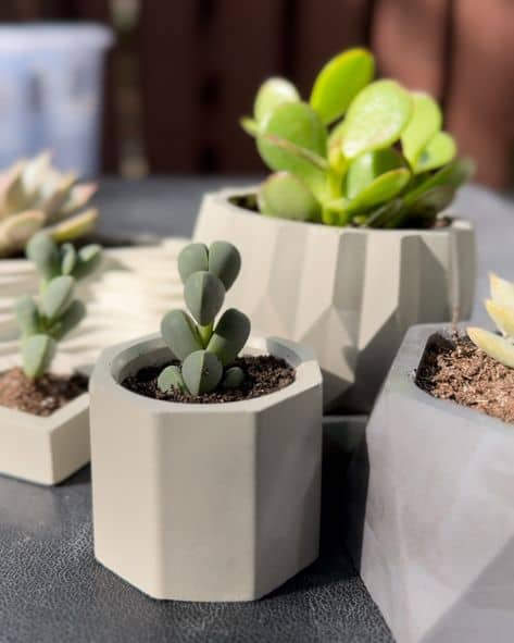 0753dc4600ebb1aaf740791a4cb48f8a كوب سداسي قطعة - الصورة 1