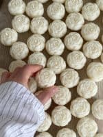 ⁦بيوني روز صغير⁩ - الصورة ⁦5⁩