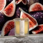 ⁦جار مساج دبل⁩ - الصورة ⁦2⁩