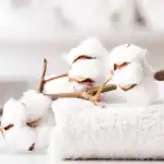 cotton flower
