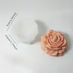 ⁦وردة جوري جامبو⁩ - الصورة ⁦2⁩