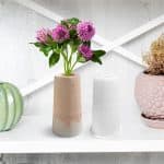 فازه طويله مخططه