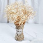 ⁦بنش بيبي فلاور اوف وايت⁩ - الصورة ⁦3⁩