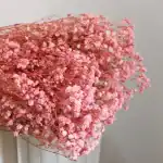 بيبي فلاور بينك